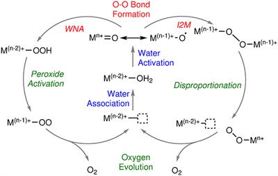 Computational Modeling of Cobalt-Based Water Oxidation: Current Status and Future Challenges